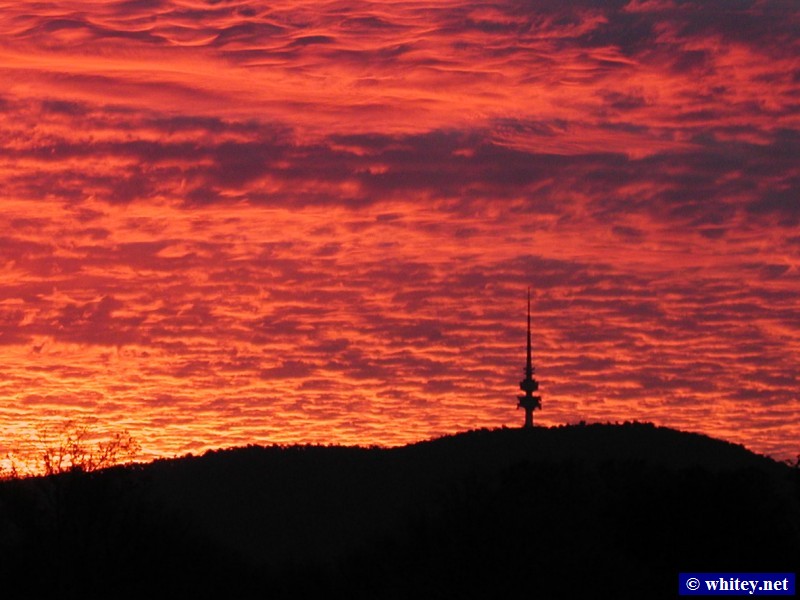 Black Mountain Tower at coucher de soleil, Canberra, Australie.