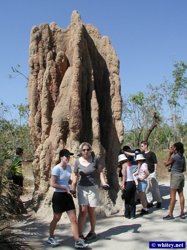Giant Termite Mound, near Darwin, Australia.
