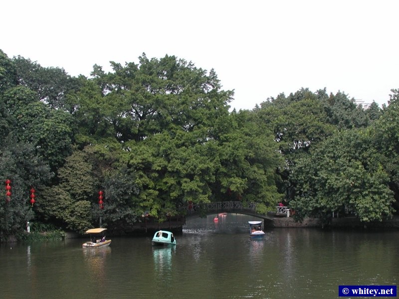 Paddle Boats on the Lake, Liwanhu Park, Canton, Chine.  荔湾湖公园.