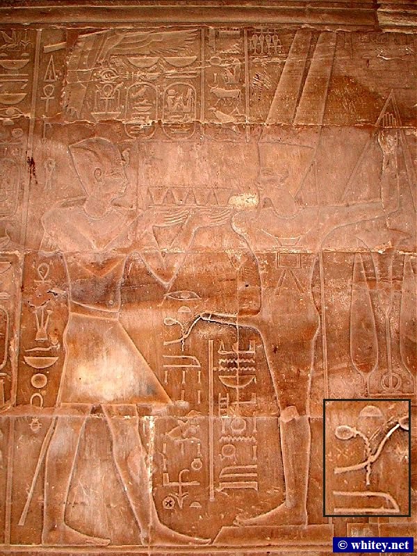 Relief of a ceremony appearing to show the faraón ejaculating, Templo de Luxor, Egipto. Written in jeroglíficos through the ejaculate appears to be a jeroglífico for semen (see magnification inset). This was thousands of years before the invention of the microscope.