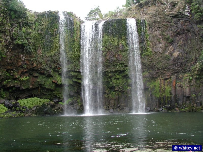 Whangarei Falls, 북섬, 뉴질랜드.
