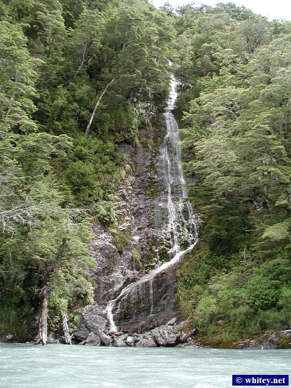 Dart River (Te Awa Wakatipu), South Island, New Zealand.