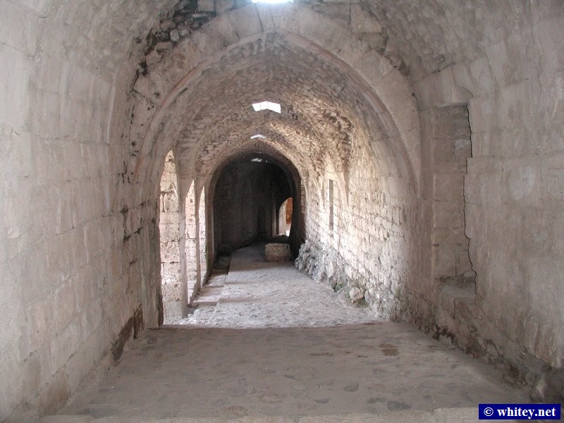 Tunnel, قلعة الحصن, سوريا.