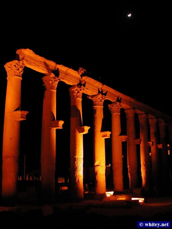 Palmyra, Syrien.