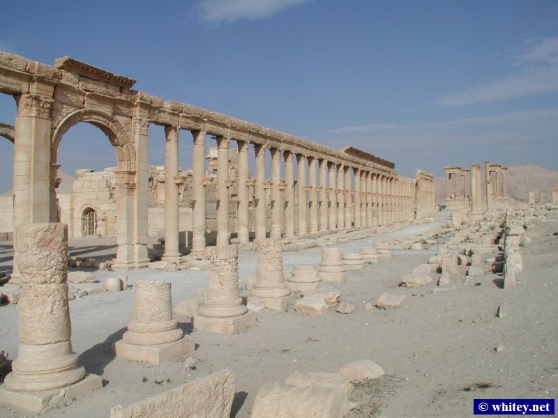 Decumanus, Palmyra, Syrien.